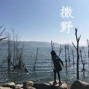 撒野（巫哲同名小说《撒野》主题曲）