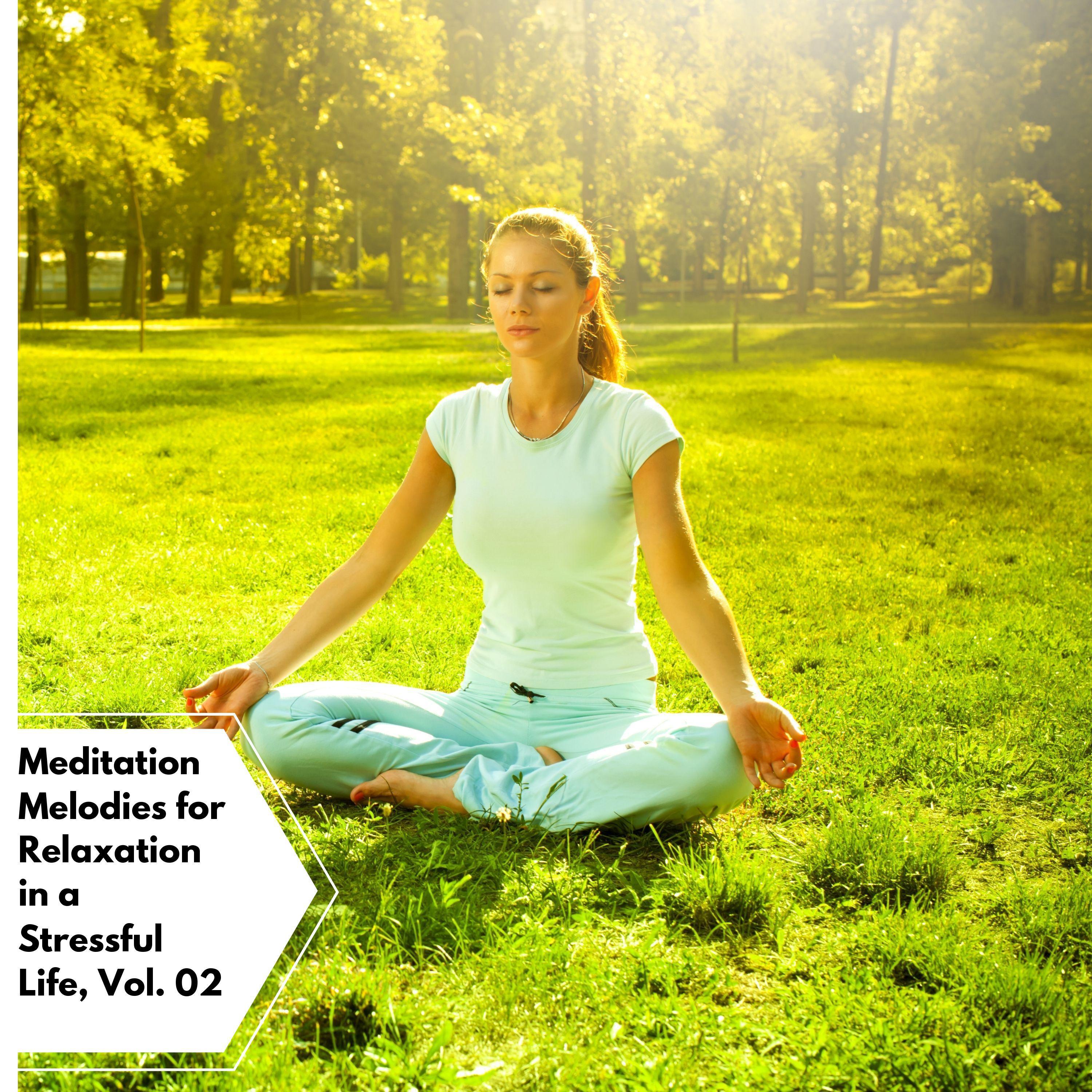 Nu Yogam - Transformation Meditation Helps Us Return To Oneness