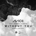Without You (DFLV Remix)专辑