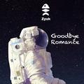 Goodbye Romance