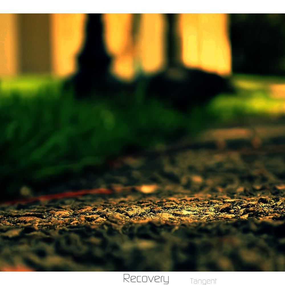 Recovery (复兴)