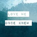 Love We Once Knew