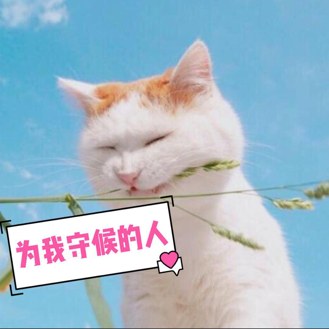 你的笑脸