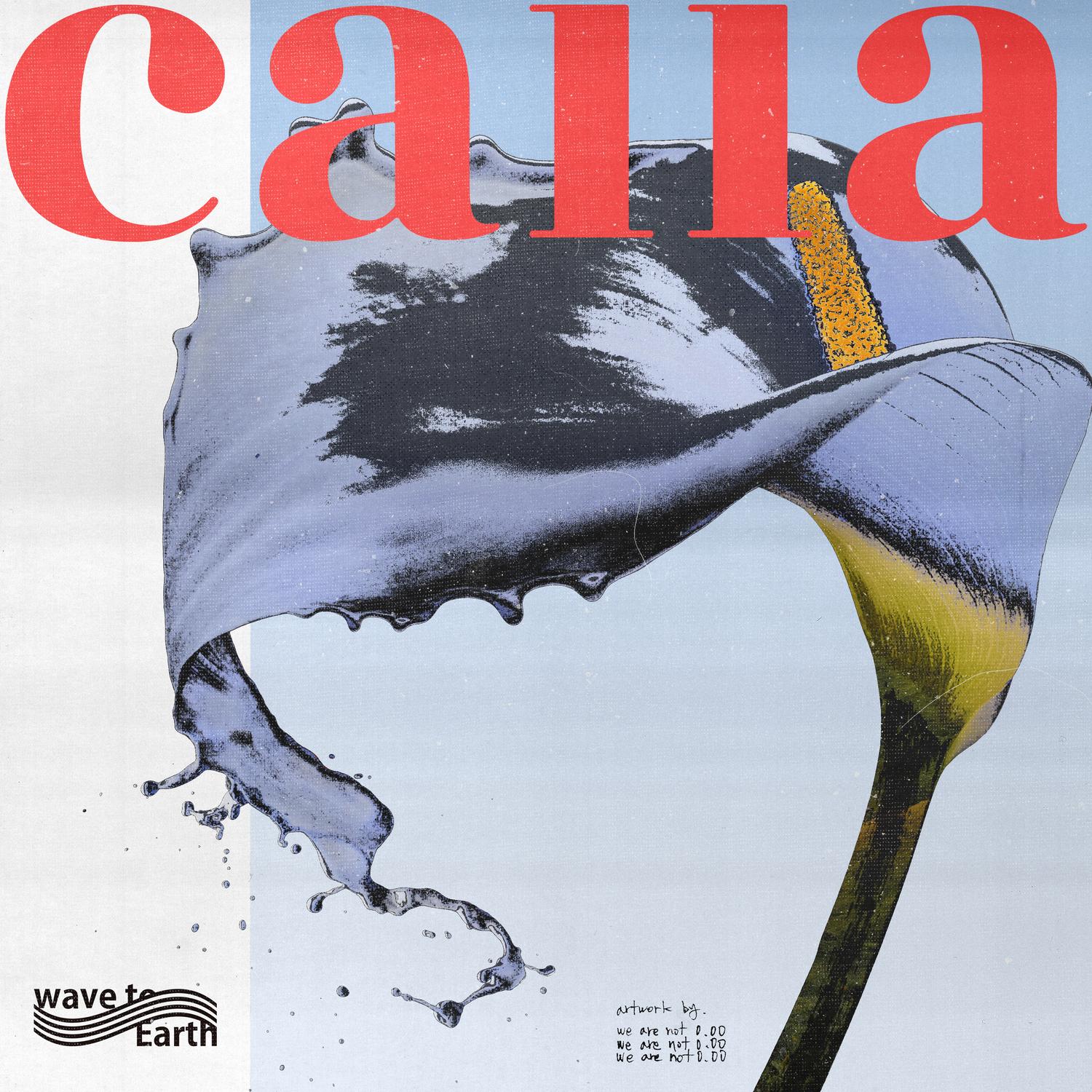 calla（海芋）