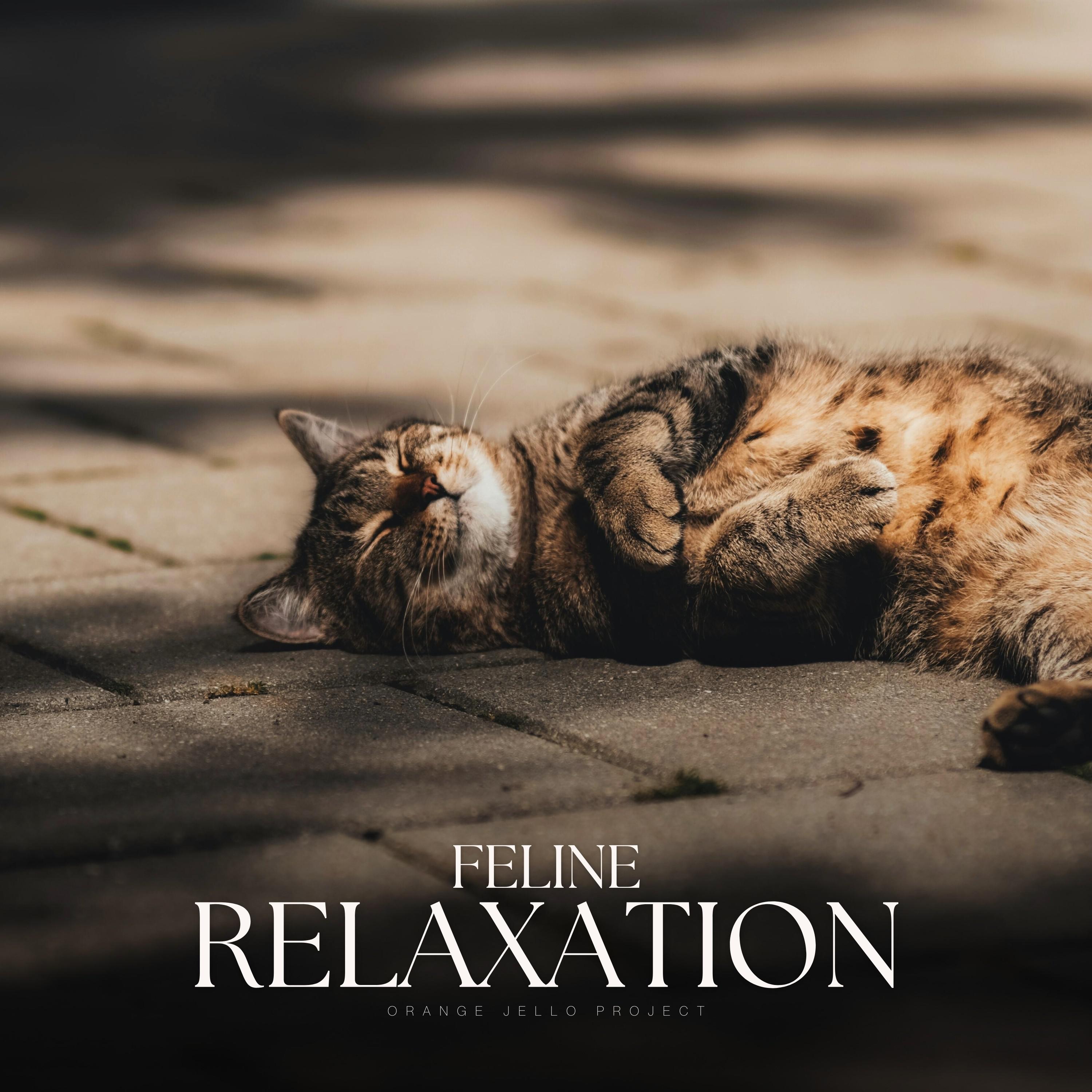 Soothing Cat Music - A Momentary Halt in the Timeframe