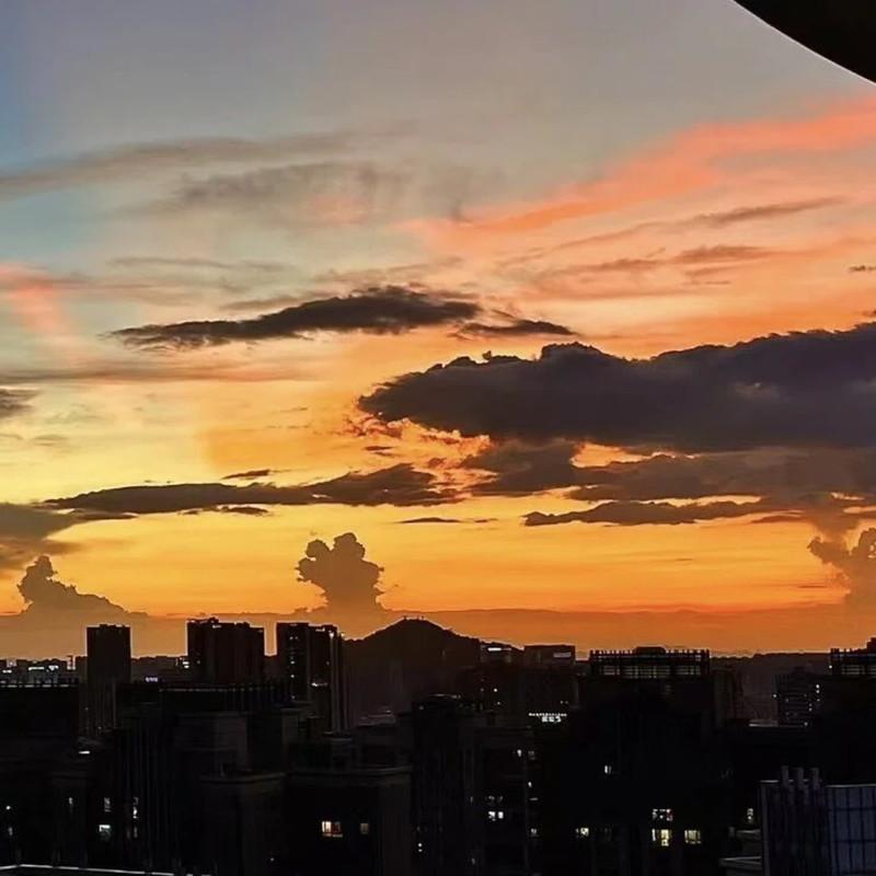 say you love me (citypop版)