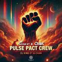 Pulse Pact Crew（Radio Mix）专辑