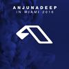 Anjunadeep In Miami 2016 (Bonus DJ Mix 1)