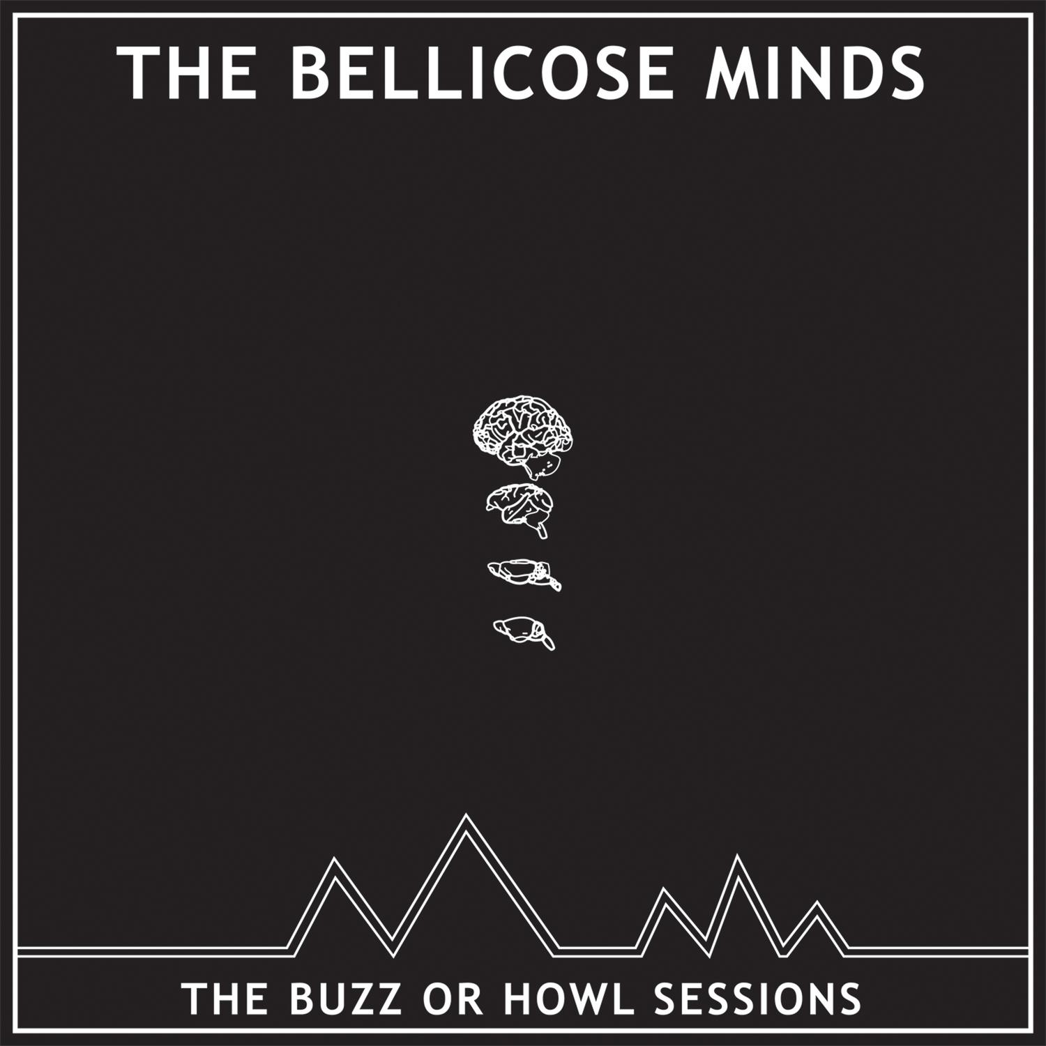 The Buzz or Howl Sessions
