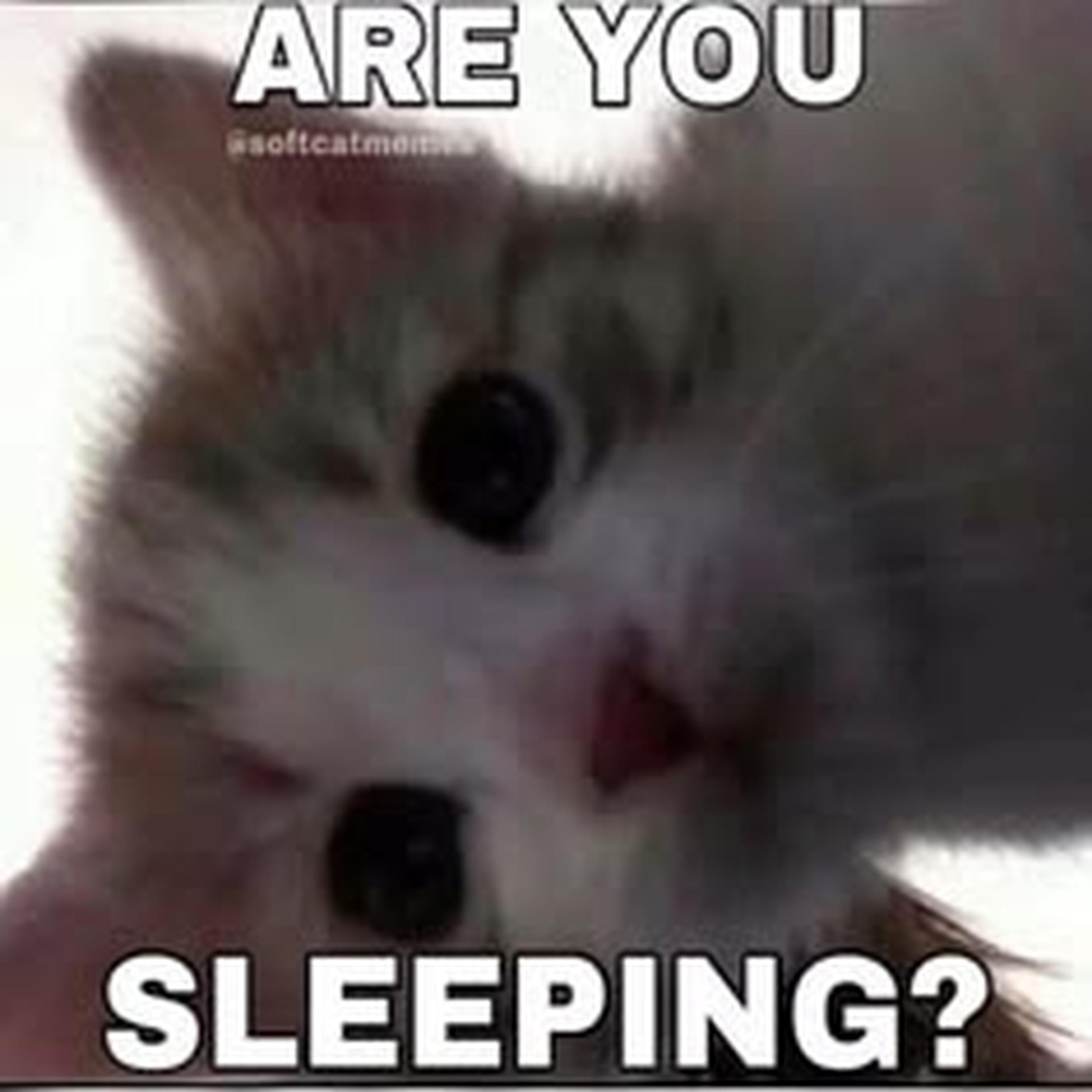 Sugar On My Tongue (Slowed)