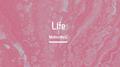Life专辑