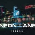 霓虹道（NEON LANE T3GOIZZ remix）