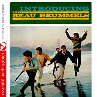 The Beau Brummels - Just A Little ( Karaoke )