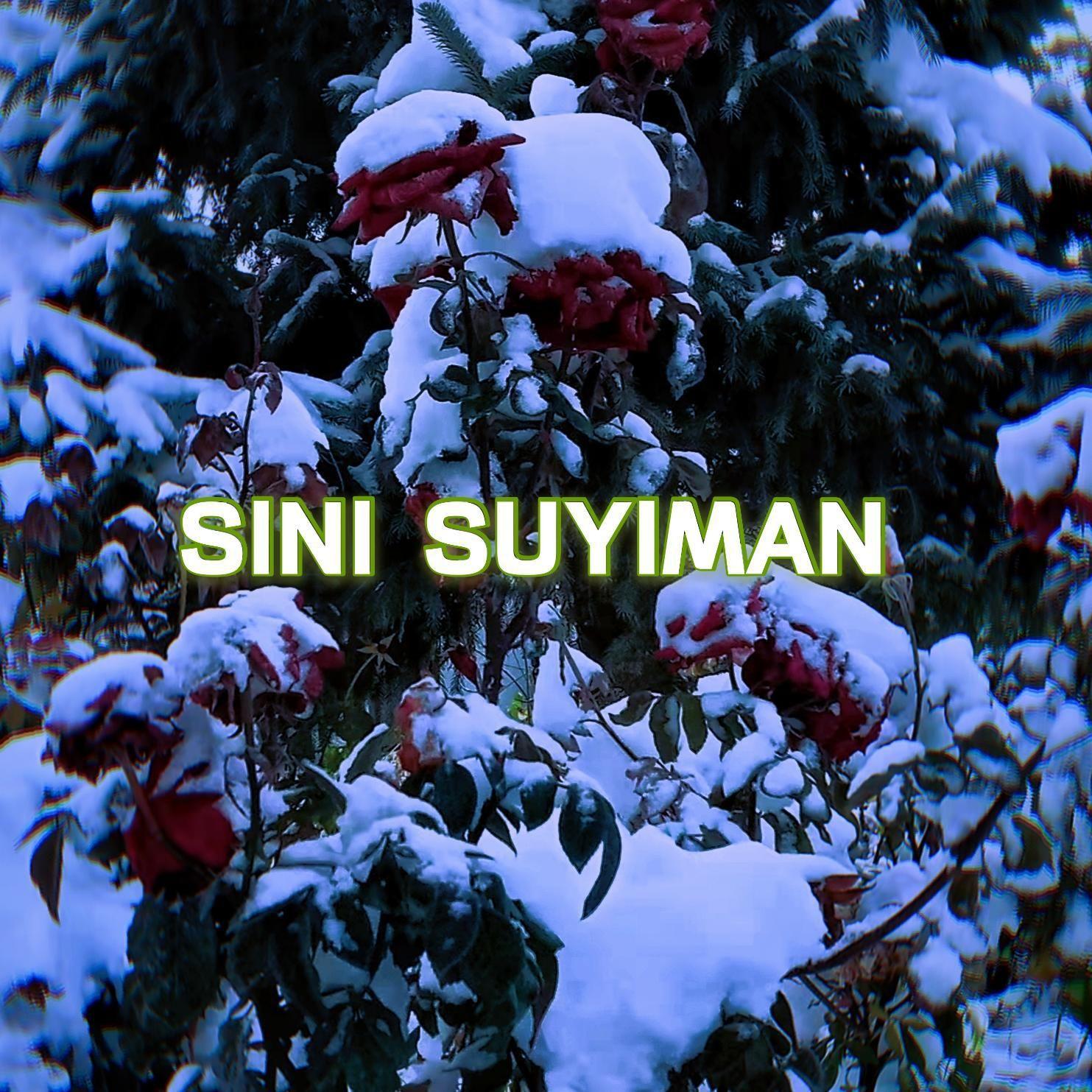 Seni suyman