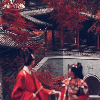 那些美到极致的古风纯音乐