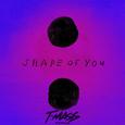 Shape Of You (T-Mass Remix)