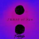 Shape Of You (T-Mass Remix)专辑