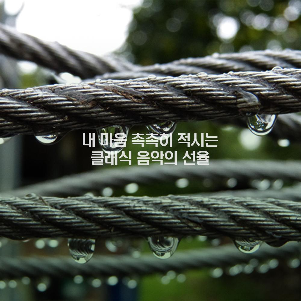 내 마음 촉촉히 적시는 클래식 음악의 선율