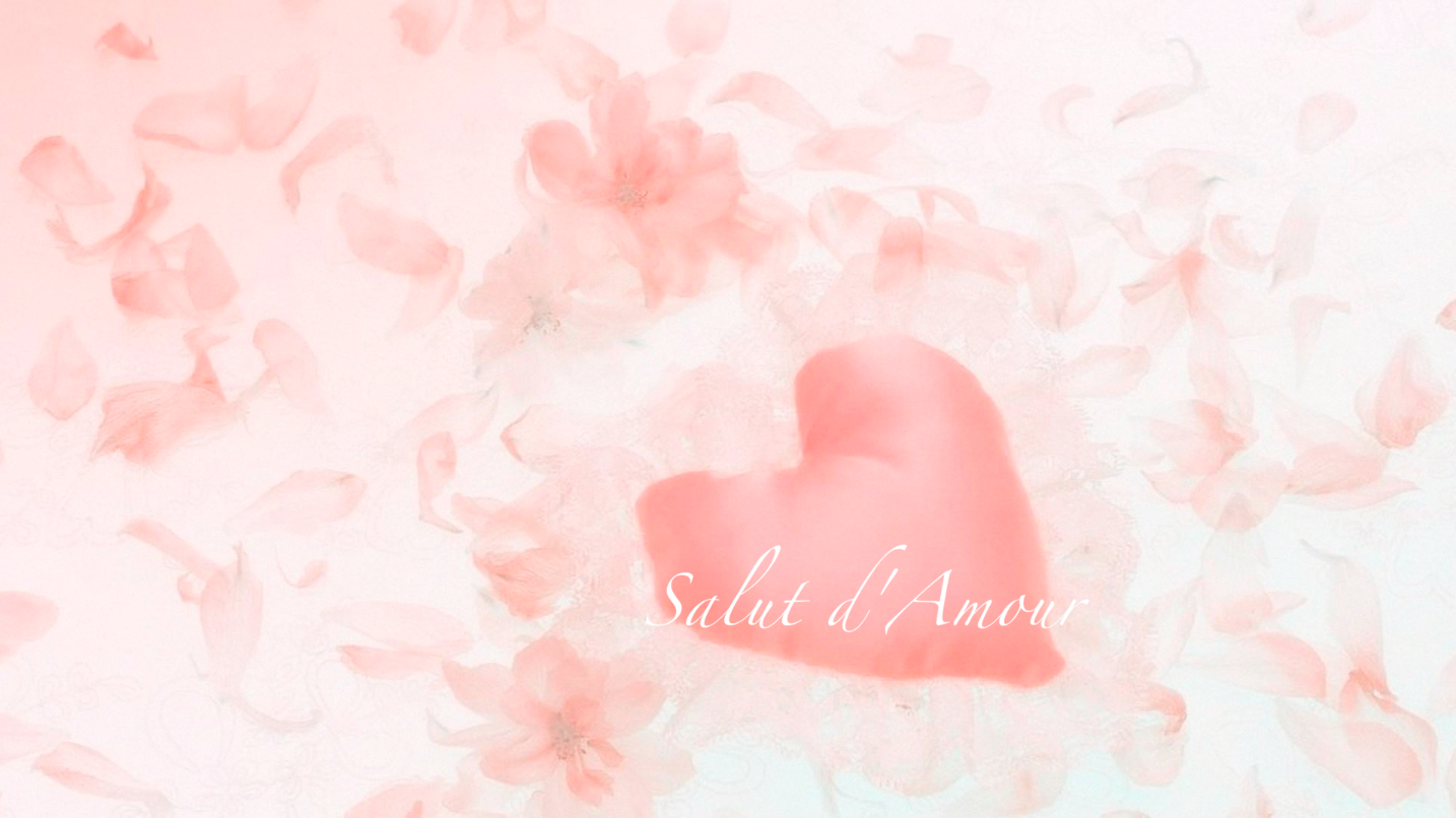「二胡」爱的礼赞 Salut d'Amour