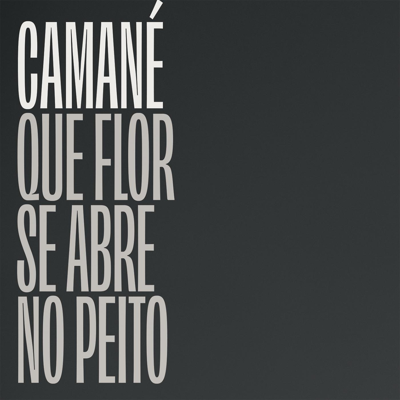 Que Flor Se Abre No Peito