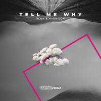 Alok & Harrison - Tell Me Why (Instrumental) 无和声伴奏