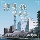 想見你想見你想見你 (鋼琴版)