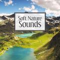 Soft Nature Sounds – Easy Listening, Mind Relaxation, Healing Therapy with Nature Sounds, Music to C