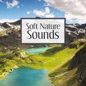 Soft Nature Sounds – Easy Listening, Mind Relaxation, Healing Therapy with Nature Sounds, Music to C专辑