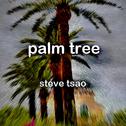 palm