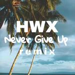 Never Give Up (Remix)专辑