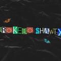 brokeboiishawty