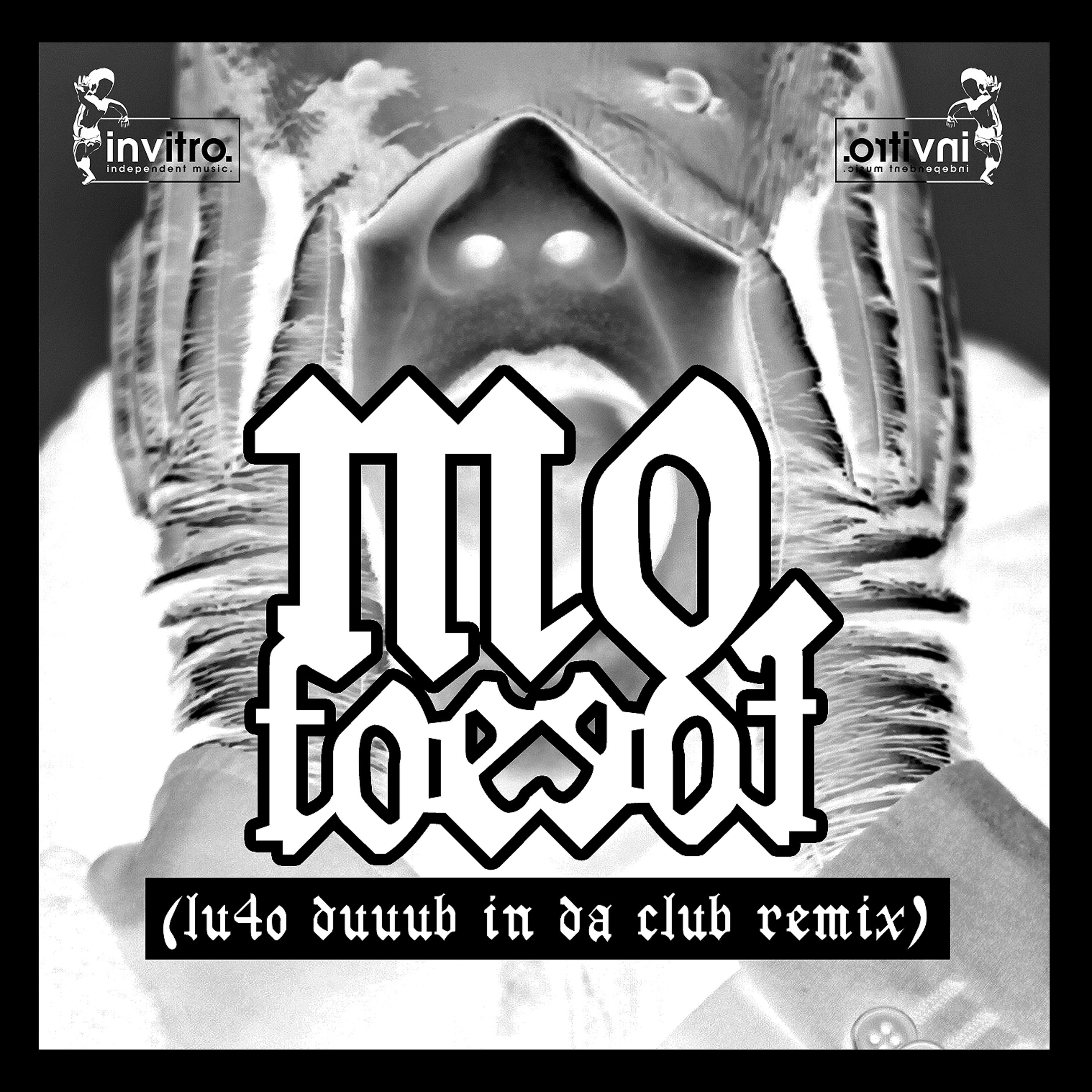 Foe Foe (Lu4o Duuub In Da Club Remix)专辑