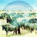 Savanna (Single)专辑
