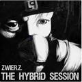 The Hybrid Session