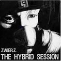 The Hybrid Session