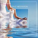 Totale Meditation - Total Meditation专辑