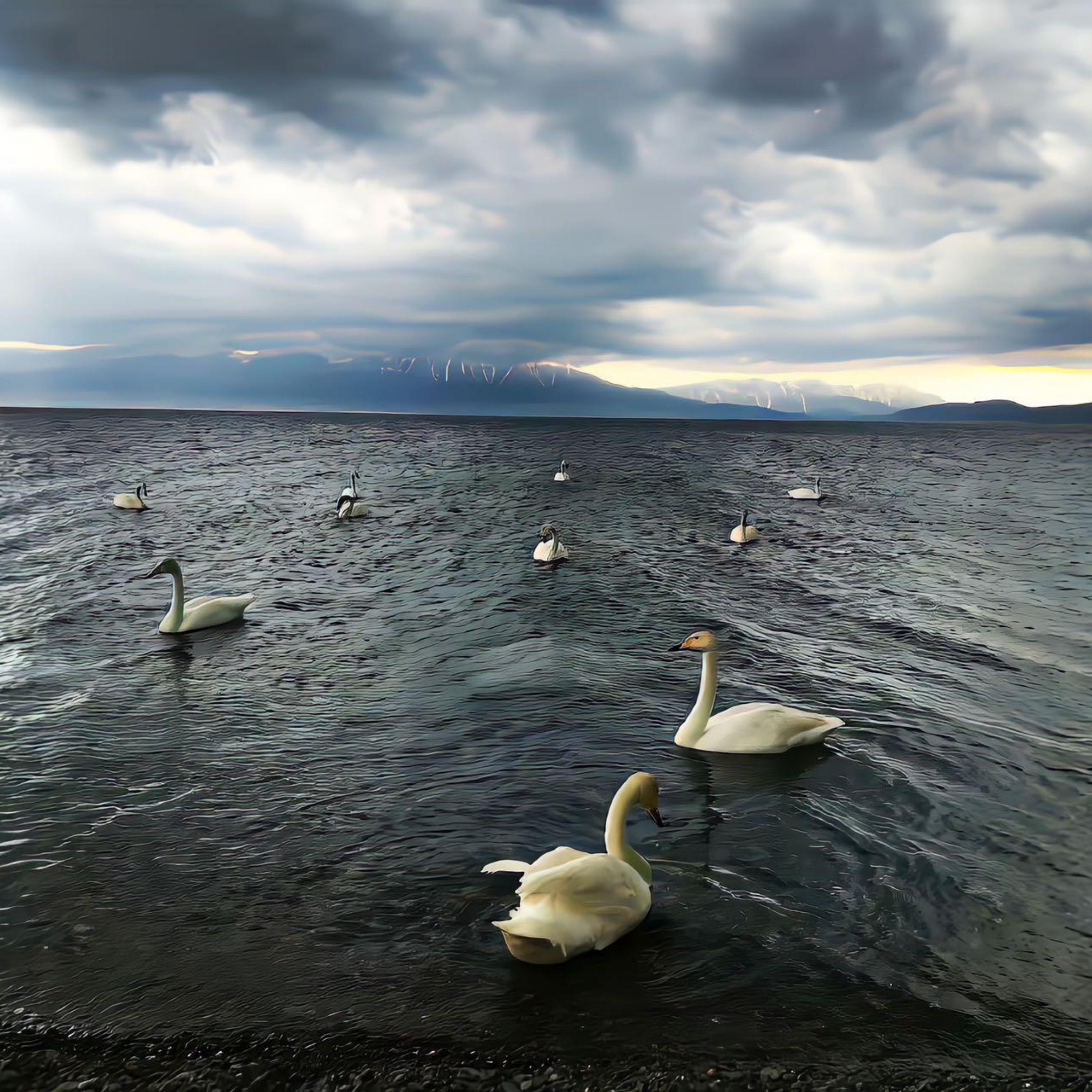 The Right Path（DJ版）