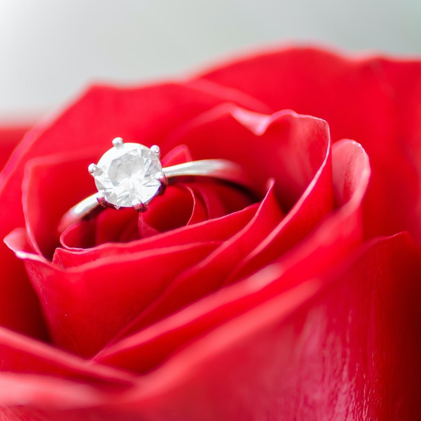 I Hope You Love Forever