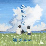 如期而至