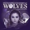 Selena Gomez-Wolves（ScarletAllen remix）
