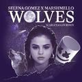 Wolves (ScarletAllen Remix)