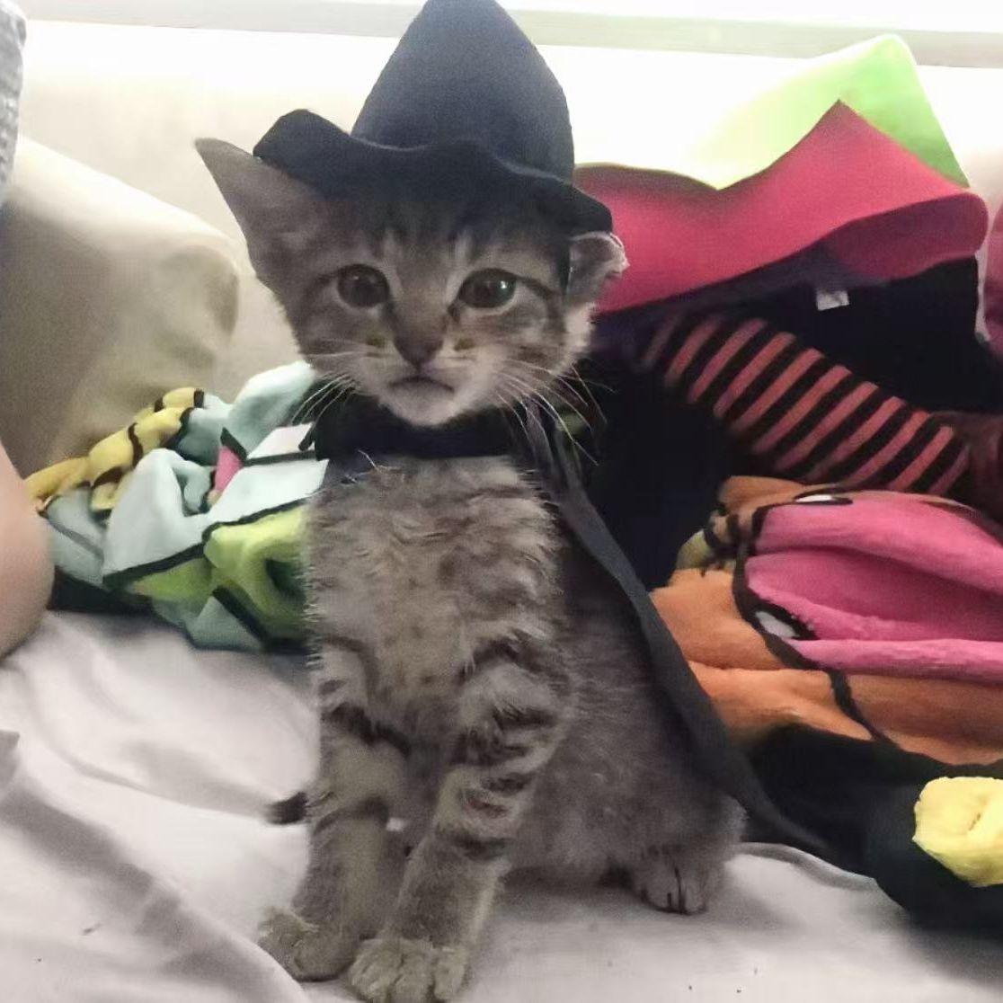 唉！我的叹气太刻意