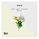 The Last Flower 废土之花专辑