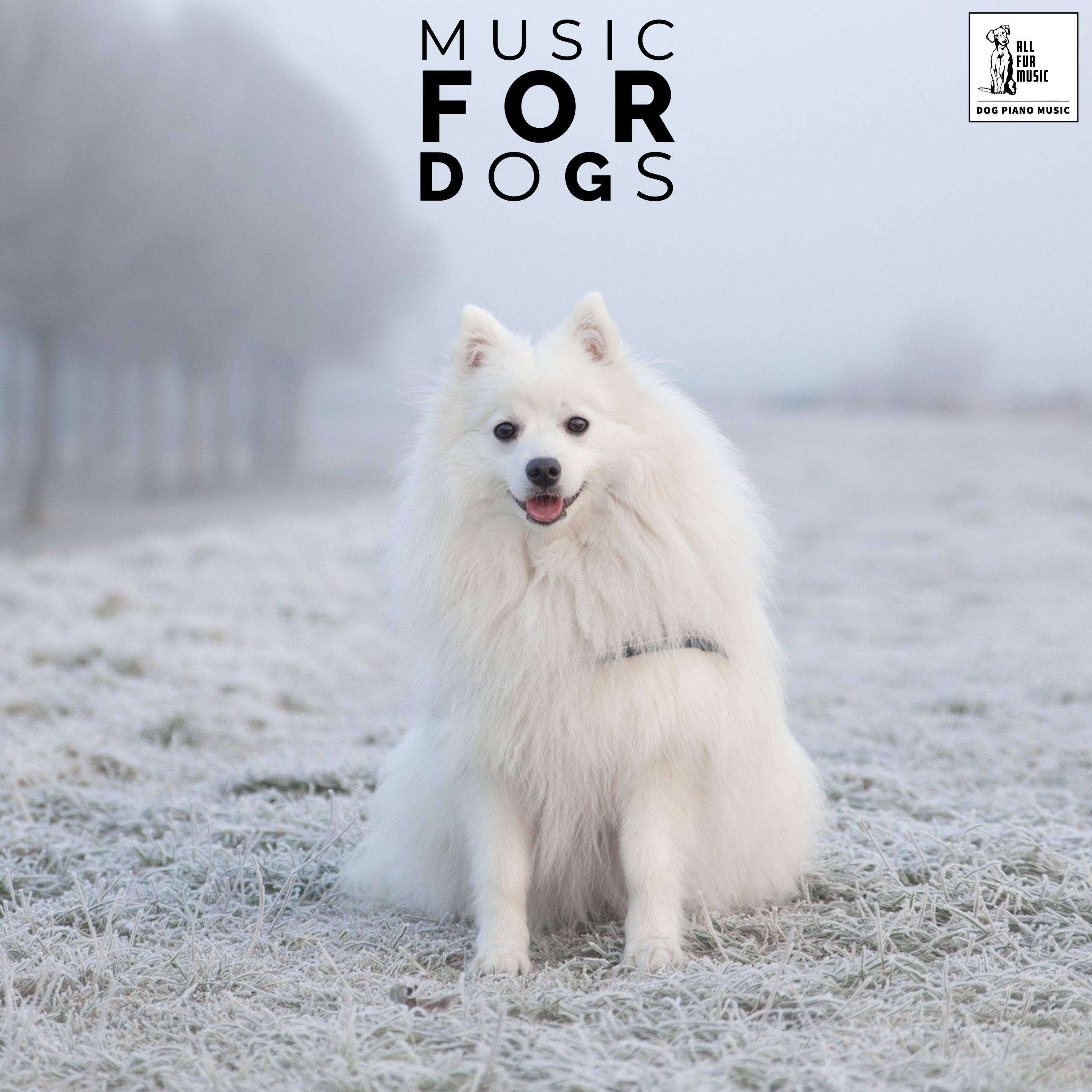 Music For Dogs