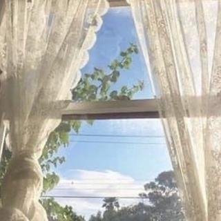纯音乐 闲适 温柔 安静