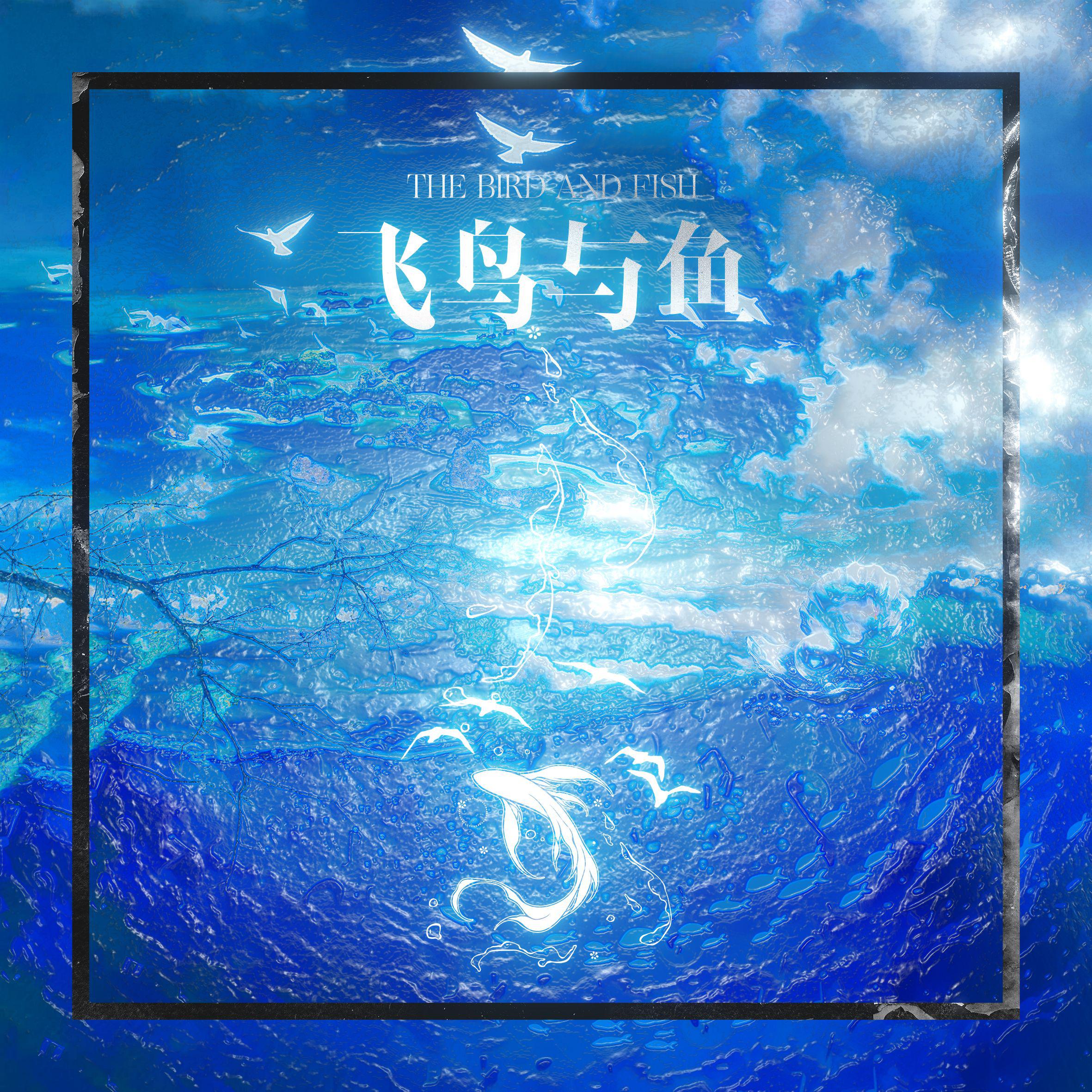 飞鸟与鱼