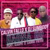 Calvin Fallo - Haona Ho (feat. DJ Sumbody, Liquid Metsi & Carpo)