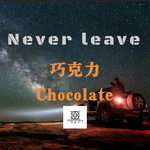 never leave专辑