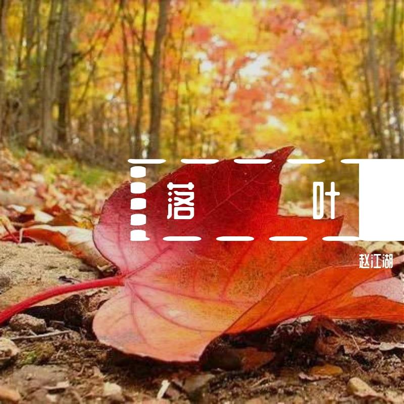 落叶