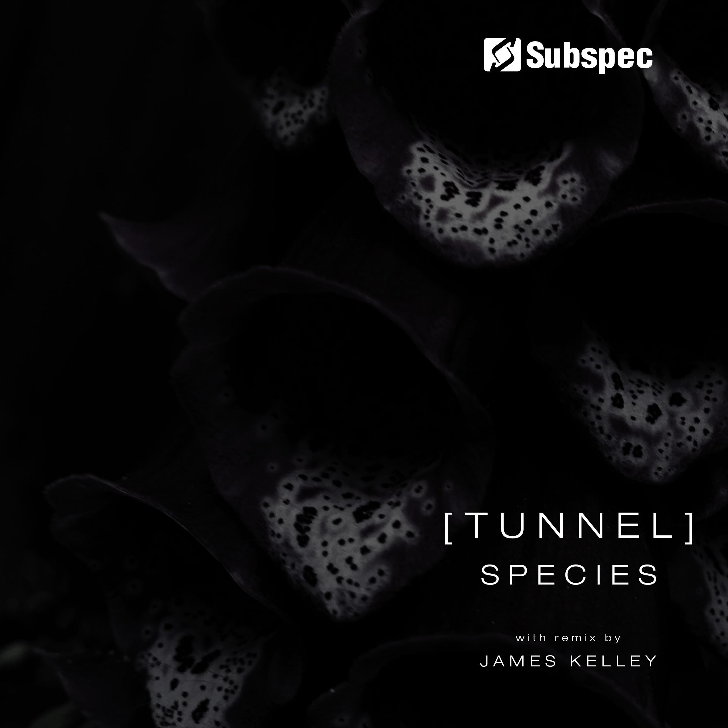 Species
